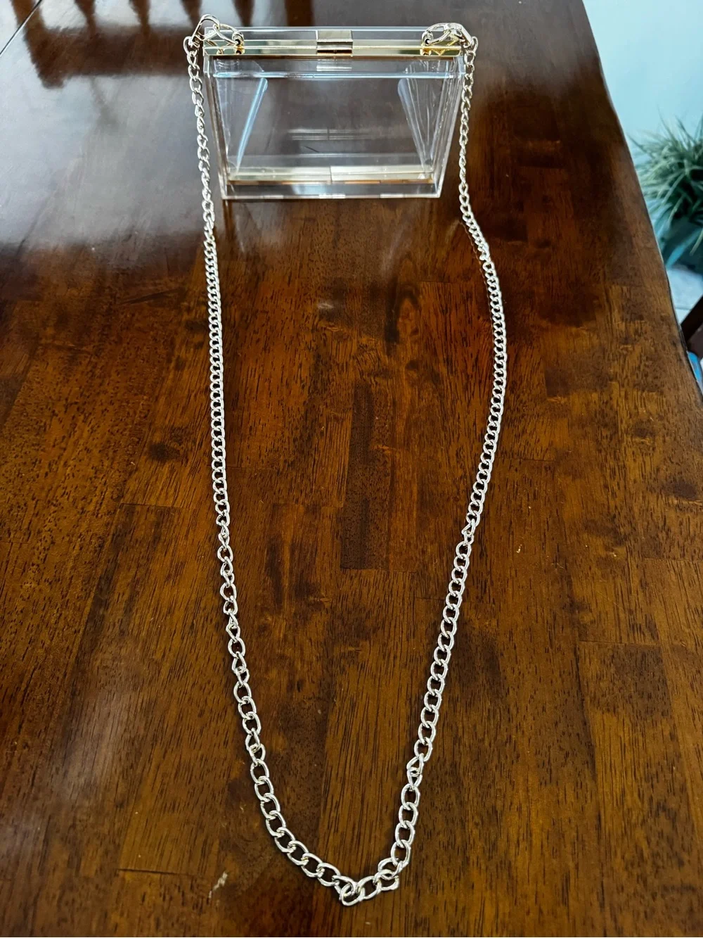 Clear Acrylic Crossbody Clutch with Gold Chain